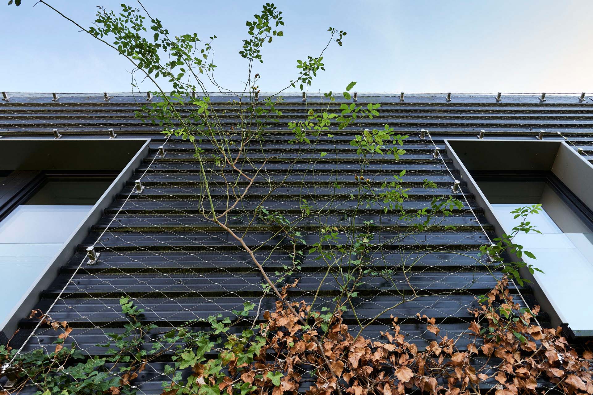 jakob-rope-systems-reference-green-solutions-webnet-waterloo-facade-greening-01