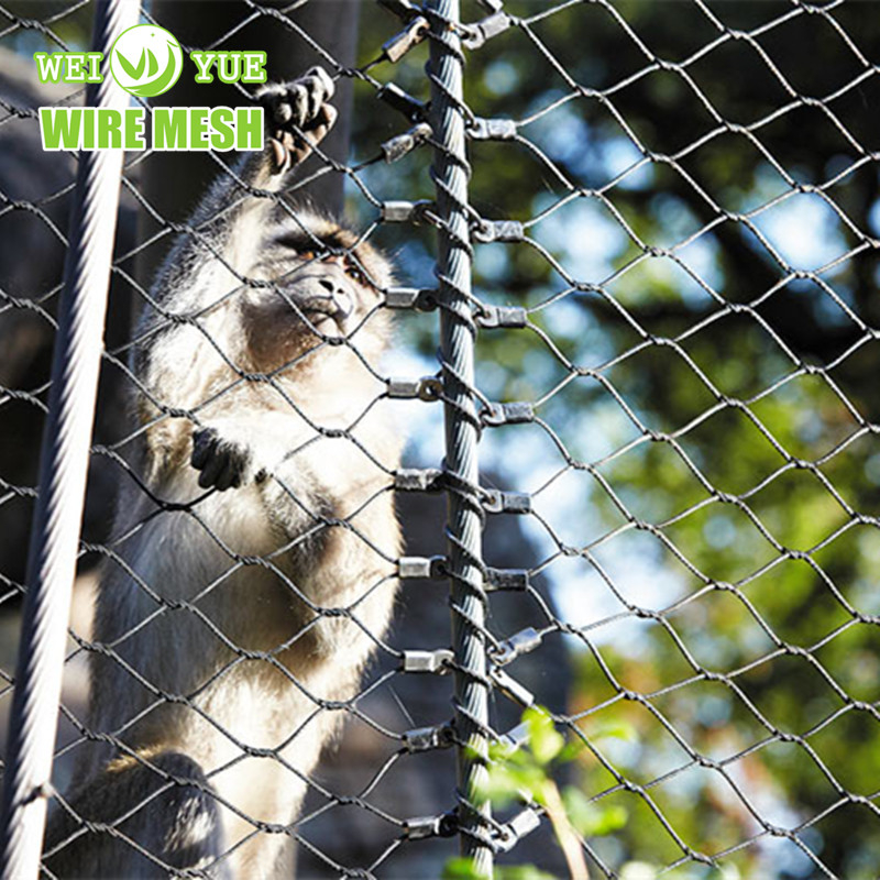 Lizard Net 304 316 Stainless Steel Rope Mesh Netting For Zoo Mesh Bird Cage Aviary ...