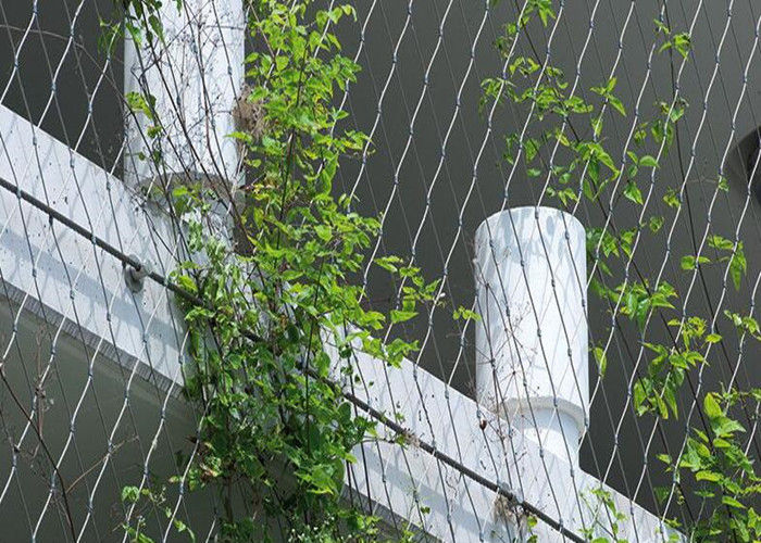 pl17414840-aisi316_x_tend_wire_rope_plant_trellis_stainless_steel_wire_for_climbing_plants