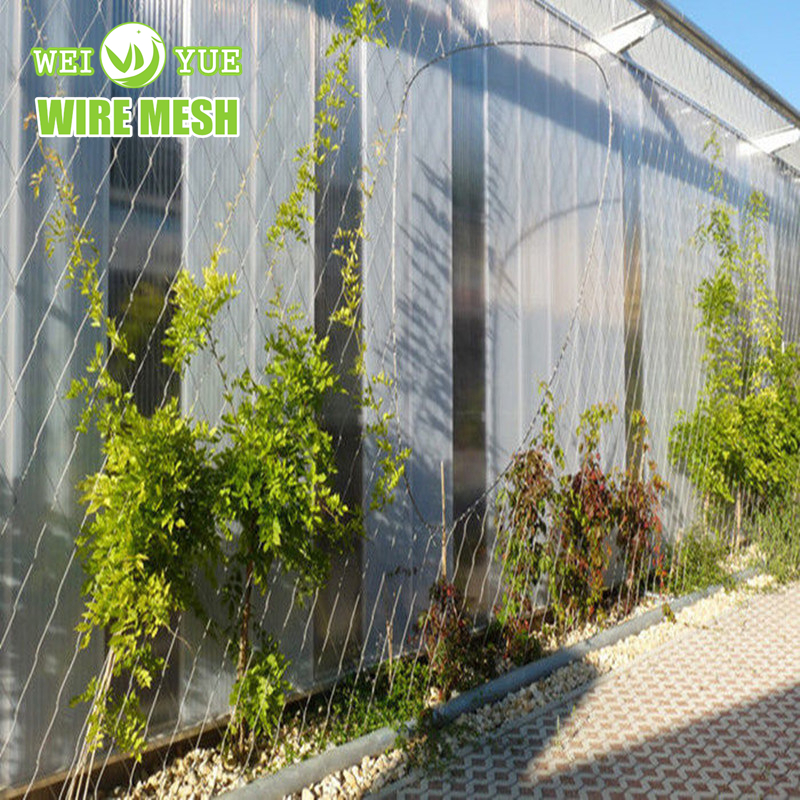 Architectural-Plant-Climbing-Net-Stainless-Steel-X-Tend-Wire-Rope-Mesh