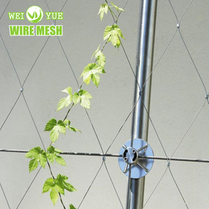 Plant Climbing Net 200*200mm hole Stainless Steel Cable Mesh Green Wall System Ferrule Wire Rope Netting