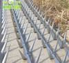 304 Stainless Steel Anti Climb Wall Spikes with Perimeter Security Fencing