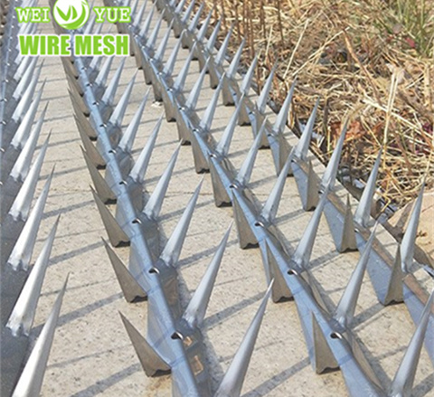 304 Stainless Steel Anti Climb Wall Spikes with Perimeter Security Fencing