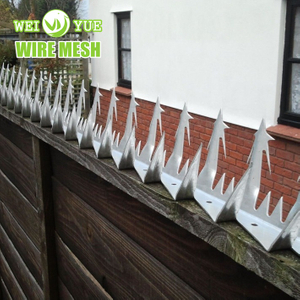 Hot Dip Galvanized Anti Climb Wall Spikes Safe Nail As Entrance of Perimeter Fencing/Door