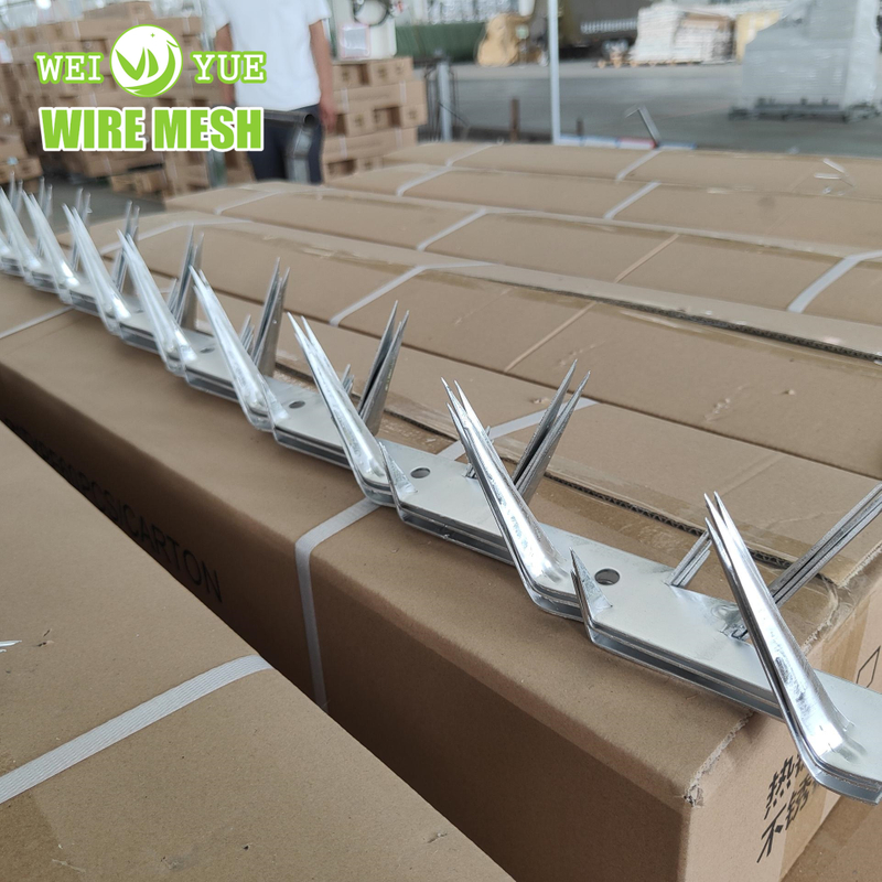 Hot Dip Galvanized Anti Climb Wall Spikes Safe Nail As Entrance of Perimeter Fencing/Door