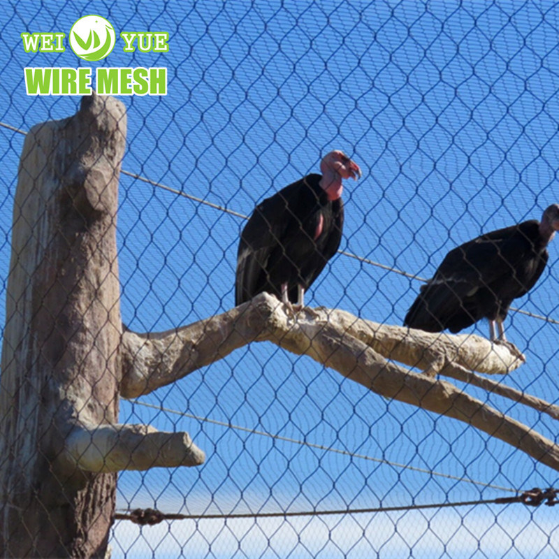 2. stainless steel rope wire mesh