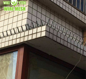 Hot Dip Galvanized Anti Climb Wall Spikes Safe Nail As Entrance of Perimeter Fencing/Door