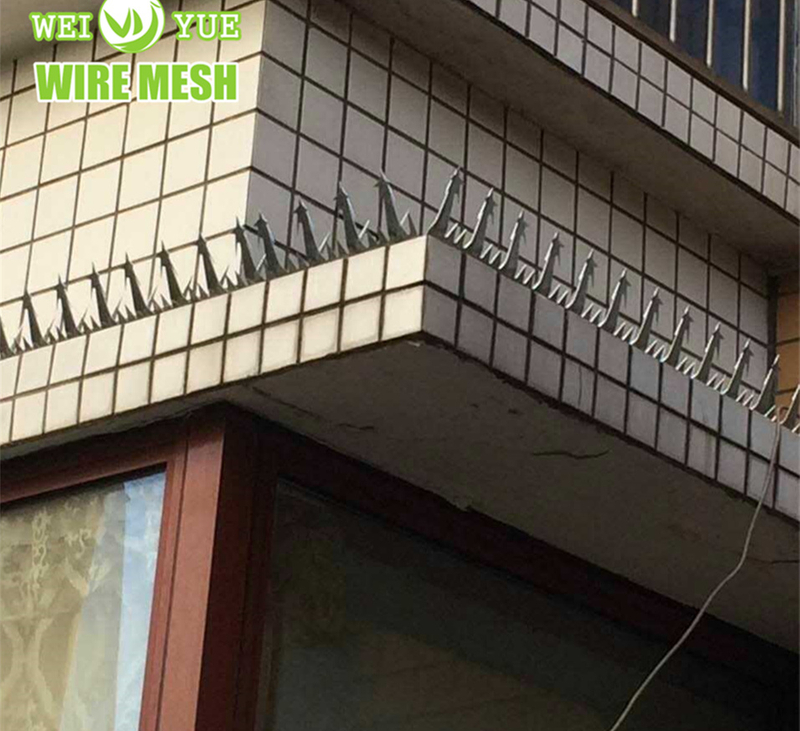 Hot Dip Galvanized Anti Climb Wall Spikes Safe Nail As Entrance of Perimeter Fencing/Door
