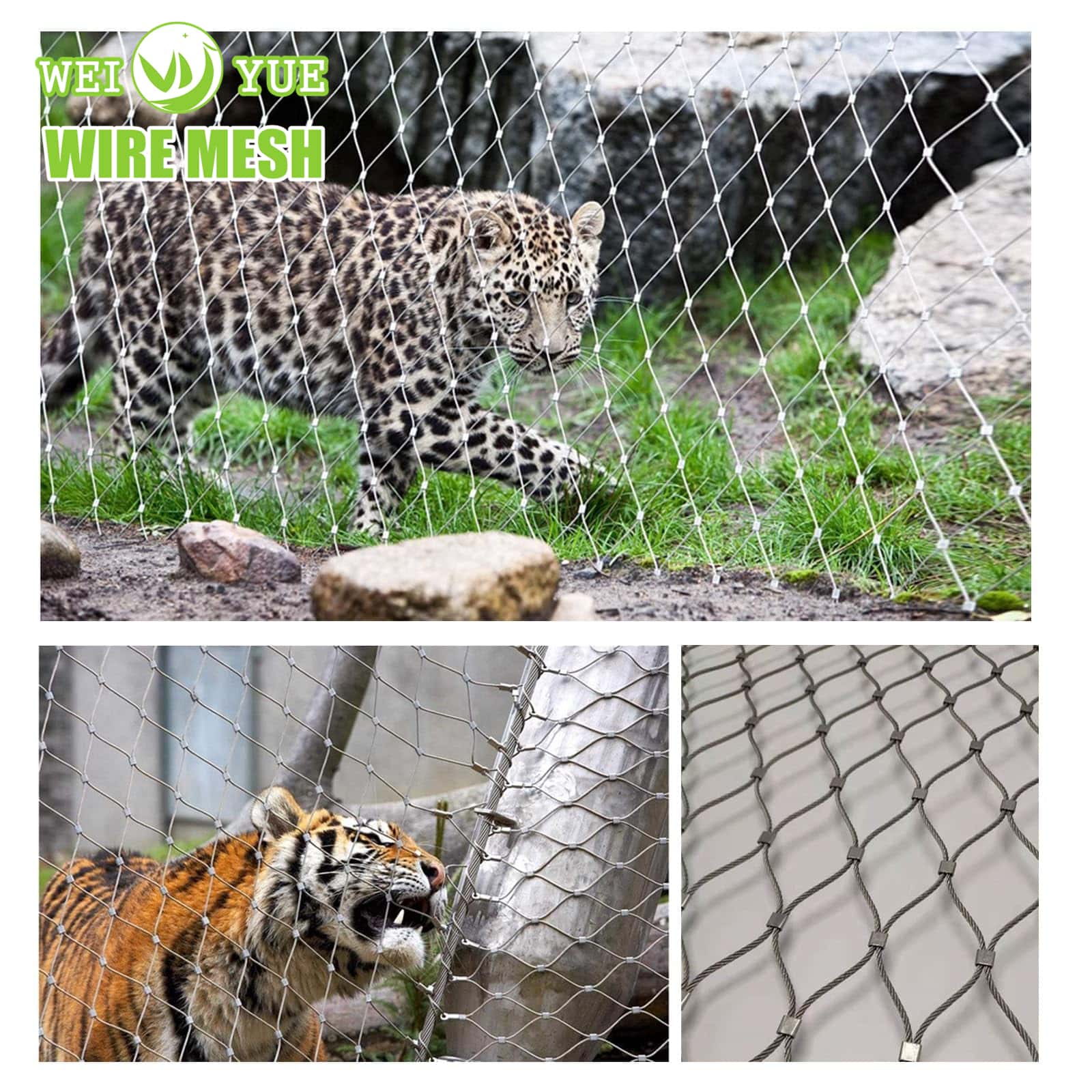 Zoo mesh