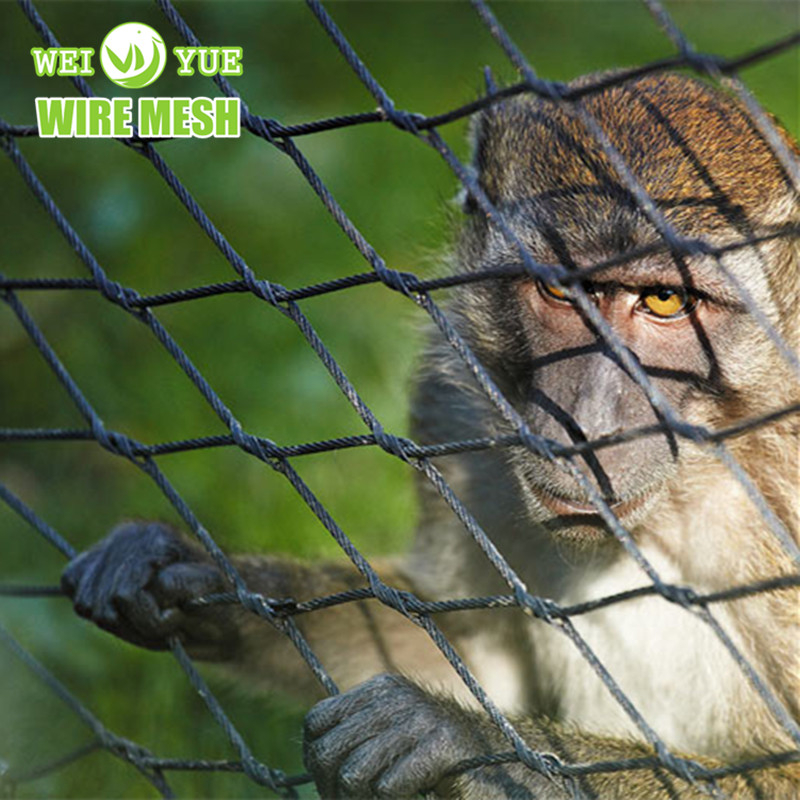 Lizard Net 304 316 Stainless Steel Rope Mesh Netting For Zoo Mesh Bird Cage Aviary ...